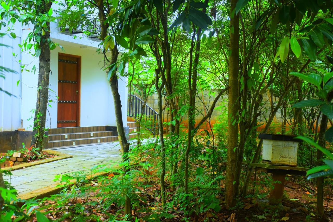 Forest Dew Udawalawa Udawalawe Exterior photo