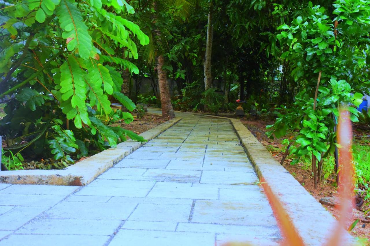 Forest Dew Udawalawa Udawalawe Exterior photo